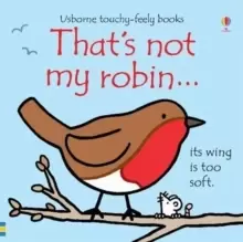 Image of That's not my robin...