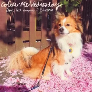 Image of Dont Tell Anyone/Blossom by Colour Me Wednesday Vinyl Album