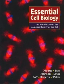 Image of Essential Cell Biology by Bruce Alberts Paperback