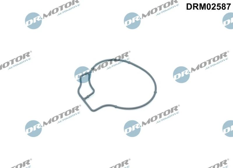 Image of DR.MOTOR AUTOMOTIVE Gasket, vacuum pump DR.MOTOR AUTOMOTIVE DRM02587