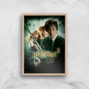 image of Harry Potter and the Chamber Of Secrets Giclee Art Print - A2 - Wooden Frame