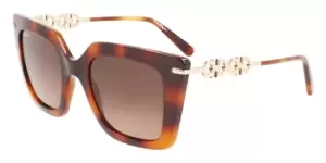 image of Salvatore Ferragamo Sunglasses SF 1041S 238