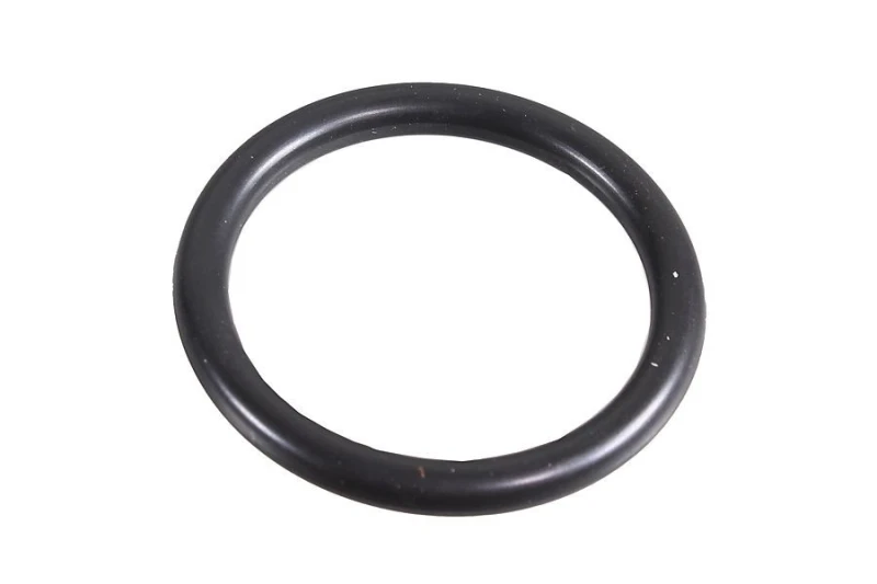 Image of Seal Ring METZGER 2430045