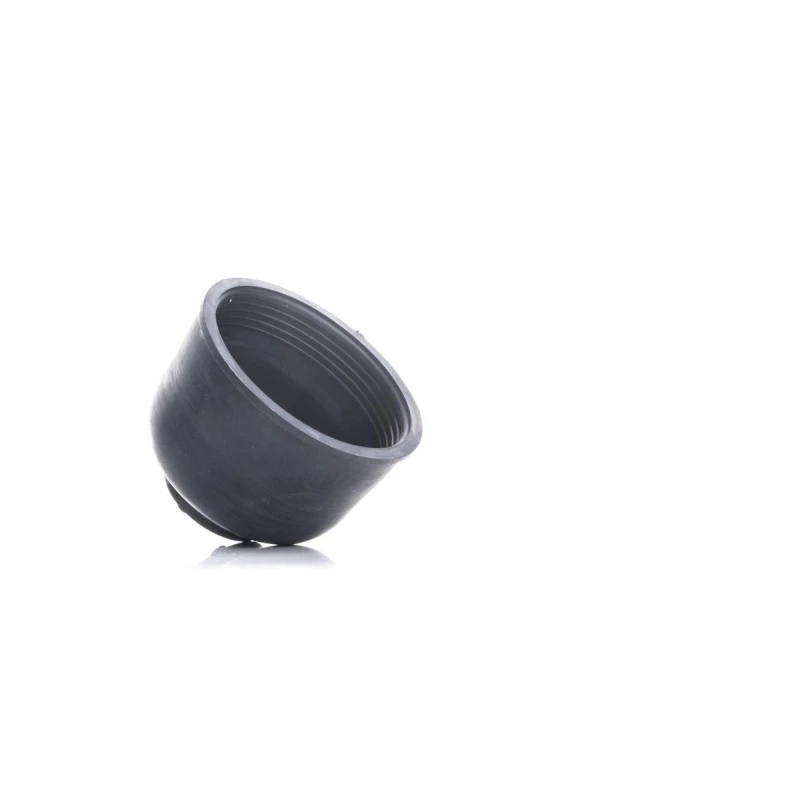 Image of EINPARTS Cap, headlight EINPARTS EPC27