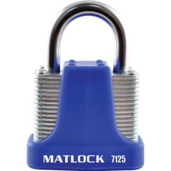 Image of Strong Blue Steel Key Padlock - 40MM