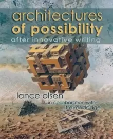 Image of Architectures of Possibility : After Innovative Writing