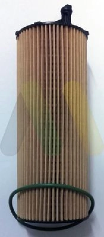 Image of MOTAQUIP Oil filter MOTAQUIP LVFL802