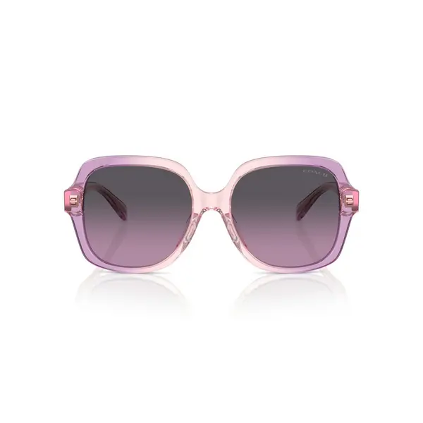 Image of Coach HC 8395U Sunglasses