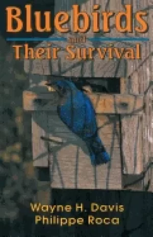 Image of bluebirds and their survival