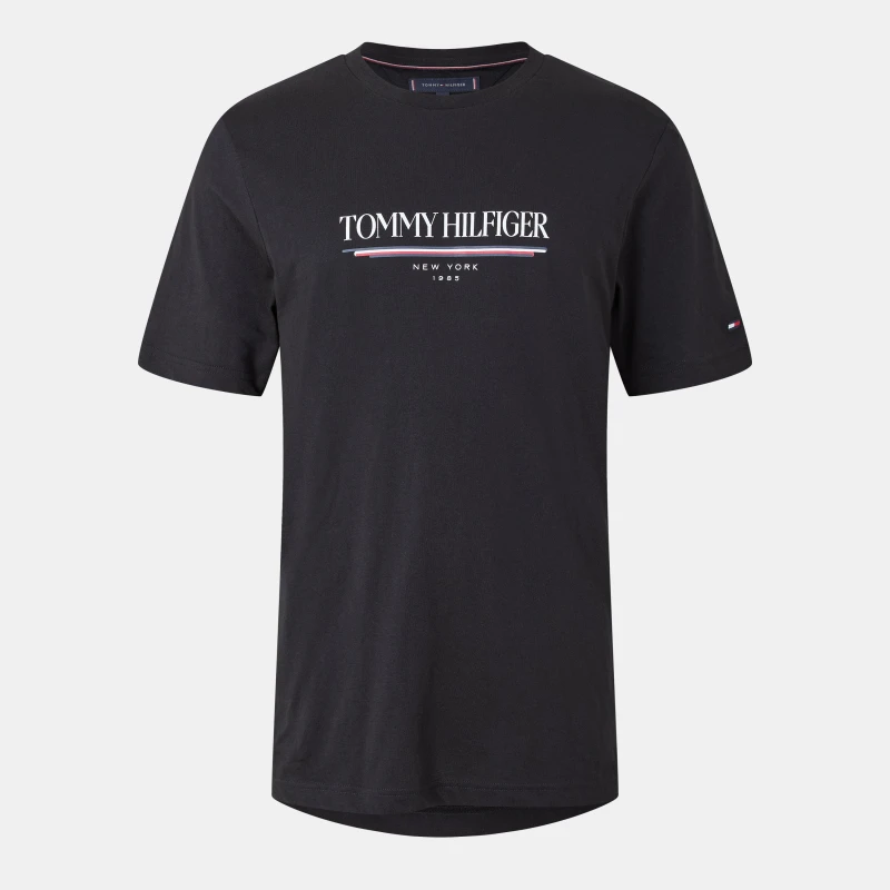 Image of Tommy Hilfiger Regular Fit Logo T-Shirt Black BDS male S