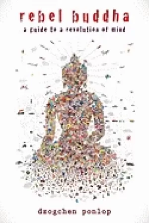 Image of rebel buddha a guide to a revolution of mind
