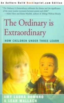 Image of The Ordinary Is Extraordinary by Amy Laura Dombro Paperback