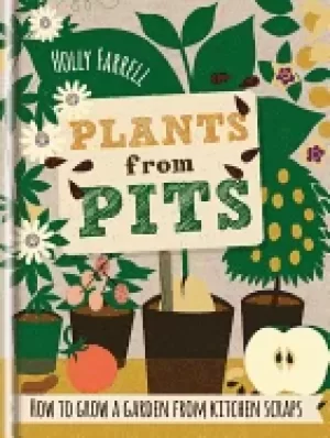 Image of plants from pits pots of plants for the whole family to enjoy