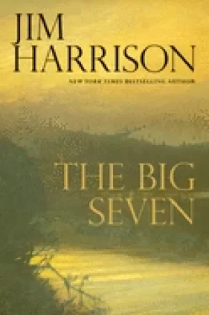 Image of big seven