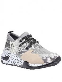 Image of Steve Madden Cliff Trainers - Snake