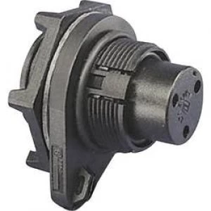 Image of Bulgin PX0802 IP68 Connector Body Mini Buccaneer Panel Mount