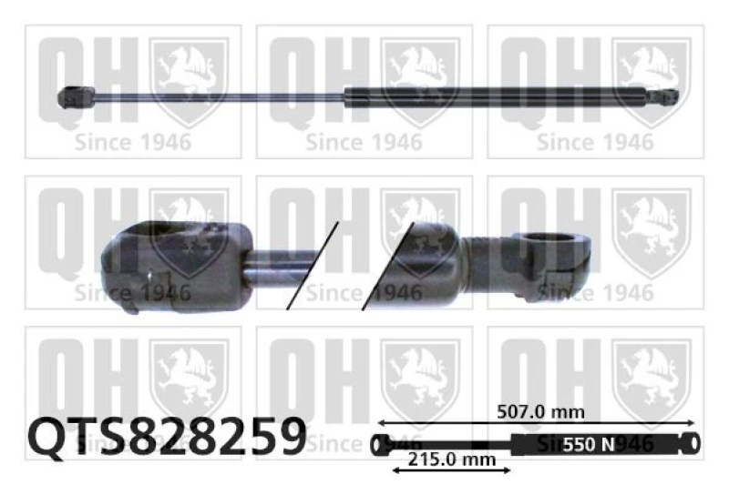 Image of QUINTON HAZELL Tailgate strut QUINTON HAZELL QTS828259