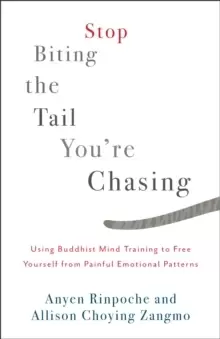 Image of Stop Biting the Tail You're Chasing : Using Buddhist Mind Training to Free Yourself from Painful Emotional Patterns