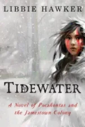 Image of tidewater a novel