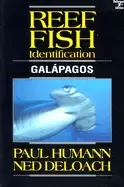 Image of reef fish identification galapagos