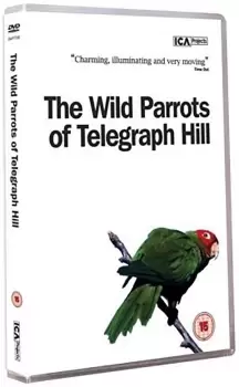 image of The Wild Parrots Of Telegraph Hill