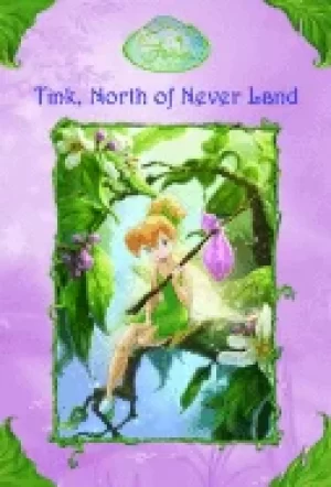 Image of tink north of never land a stepping stone book