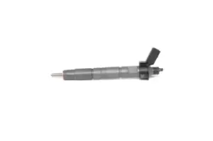 Image of Bosch Injectors with seal ring 0 445 117 030 Fuel Injectors,Injector Nozzle BMW,5 Touring (F11),5 Limousine (F10),1 Schragheck (F20),3 Touring (F31)