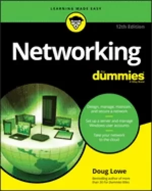 Image of networking for dummies
