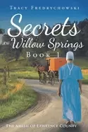 Image of secrets of willow springs book 1