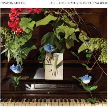 Image of Crayon Field - All The Pleasures Of The World Vinyl