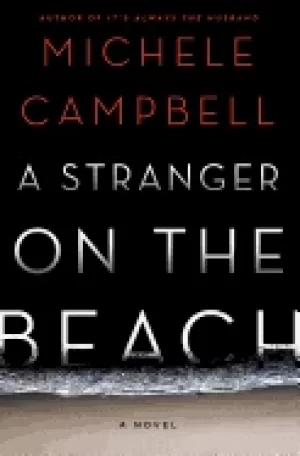 Image of stranger on the beach a novel