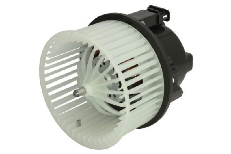 Image of THERMOTEC Blower motor THERMOTEC DDV007TT
