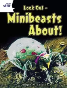 Image of Rigby Star Independent Year 2 Non Fiction: Tiny Creatures