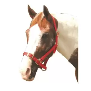 image of Roma Adjustable Headcollar - Red