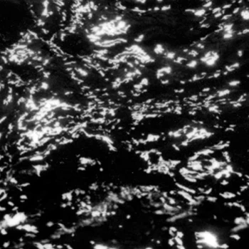 Image of GROUPER - AIA: Dream Loss Vinyl