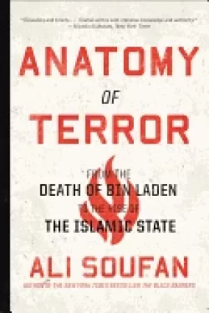 Image of anatomy of terror from the death of bin laden to the rise of the islamic st