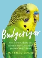 Image of budgerigar how a brave chatty and colourful little aussie bird stole the wo