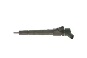 Image of Bosch Injectors without seal ring 0 445 110 248 Fuel Injectors,Injector Nozzle FIAT,PEUGEOT,HYUNDAI,Ducato Kastenwagen (250_, 290_)