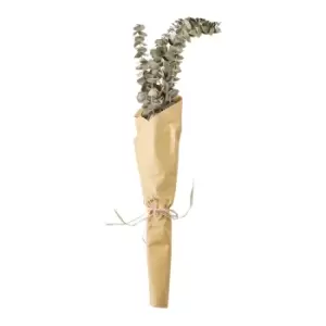 Image of Gallery Interiors Clark Dried Eucalyptus Bundle in Paper Wrap Green