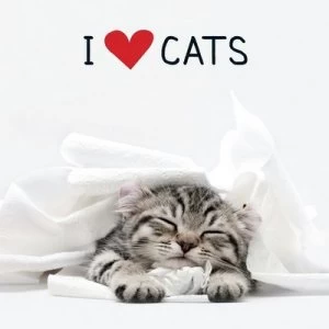 Image of I Love Cats by Media Adams Hardback