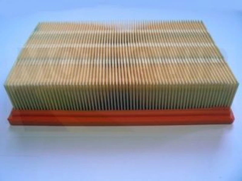 Image of MOTAQUIP Air filter MOTAQUIP VFA1217