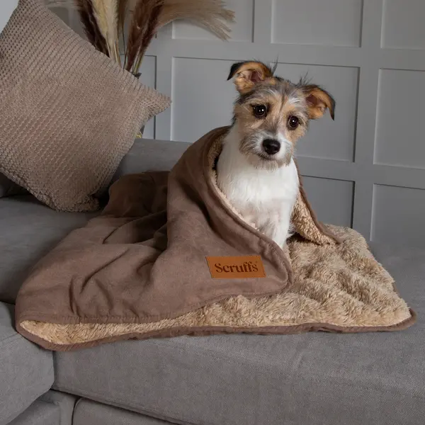 Image of Scruffs Snuggle Blanket Brown