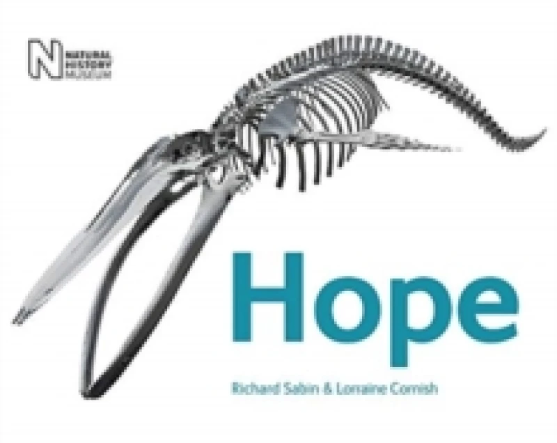 Image of Hope. Paperback. By Richard Sabin Books