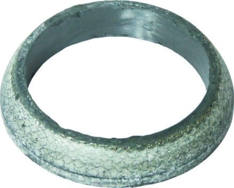 Image of Exhaust pipe gasket VEGAZ TD-126