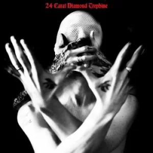 Image of 24 Carat Diamond Trephine by Avalanche Party CD Album