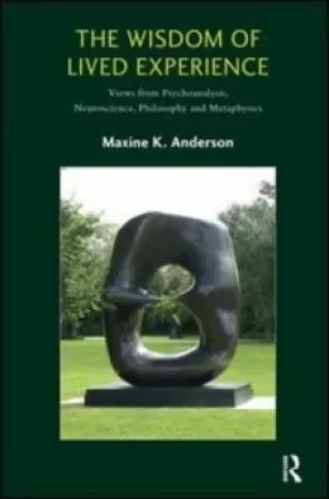 Image of The wisdom of lived experience by Maxine K Anderson