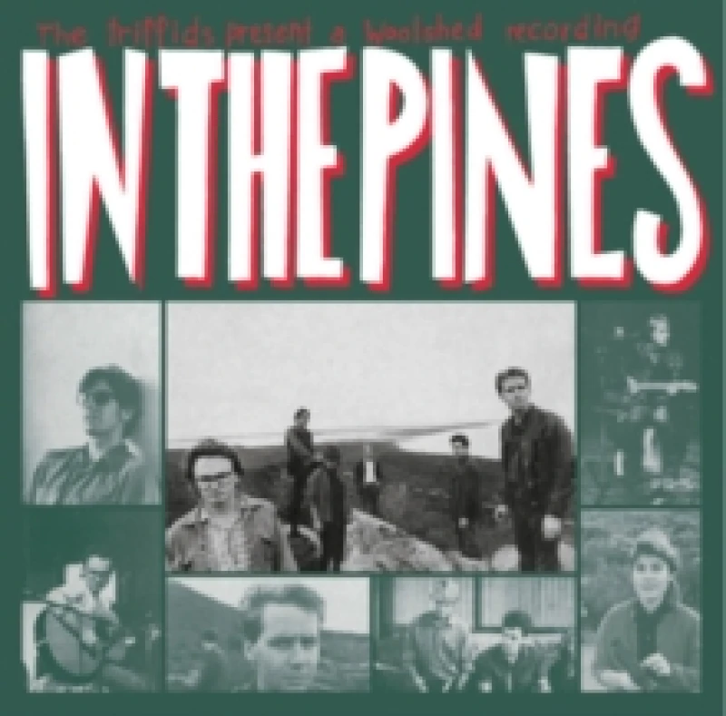 Image of In the Pines Vinyl