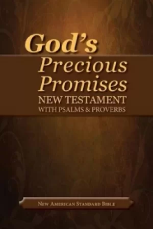 Image of Gods Precious Promises New Testament by AMG Publishers