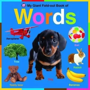 Image of My Giant Fold-Out Book of Words by Natalie Boyd and Hermione Edwards and Holly Russell Hardback