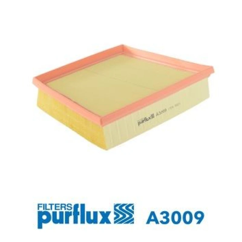 Image of Air filter PURFLUX A3009